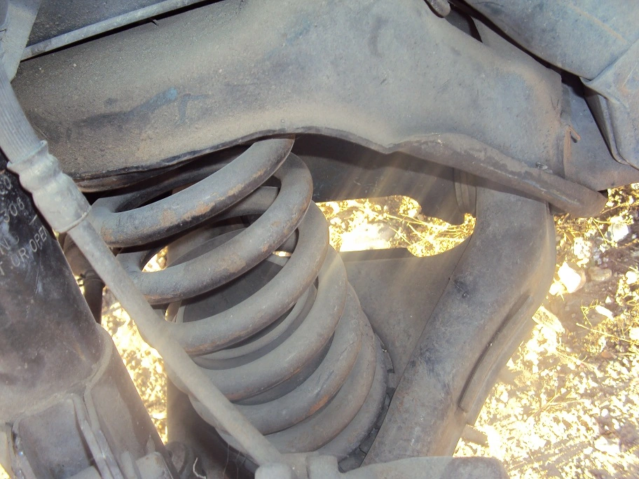 DSC08364.webp