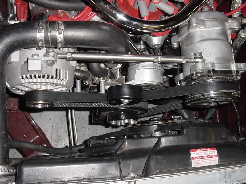 DSC08677.webp
