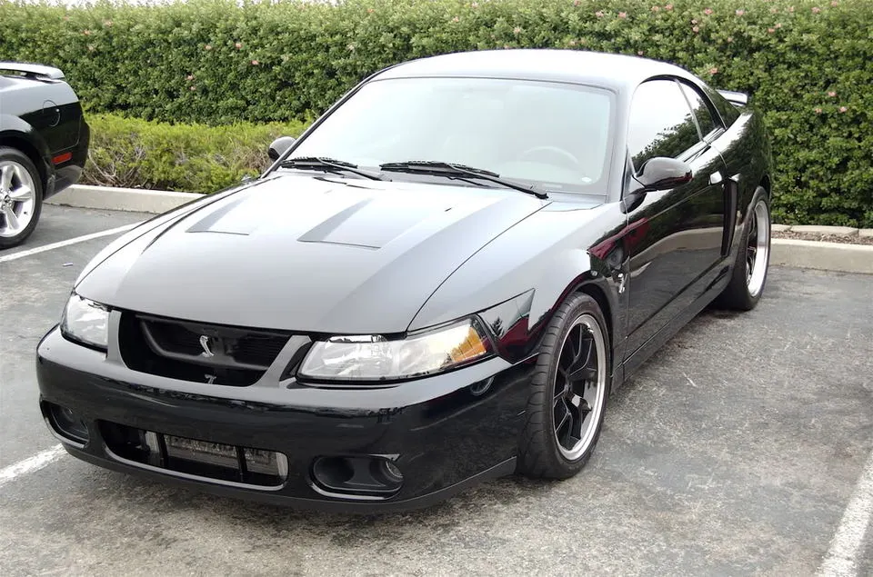 DSC_0006_2.webp