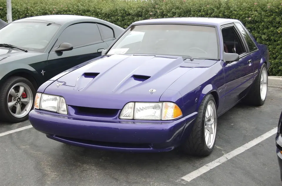 DSC_0008_2.webp