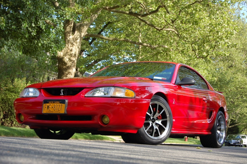 DSC_0009-001.webp