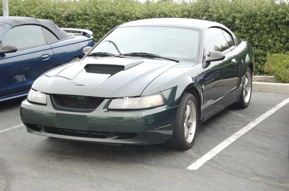 DSC_0009_2.webp