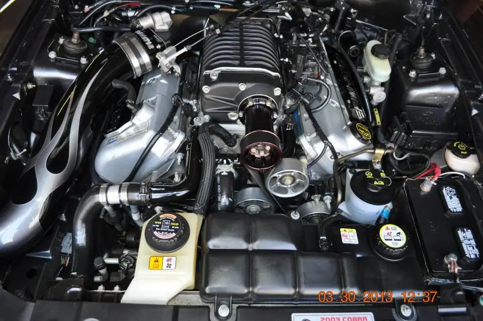 DSC_0009_zpsf2856077.webp