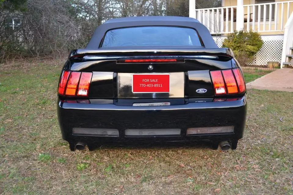 DSC_0010_zps0b57695f.webp