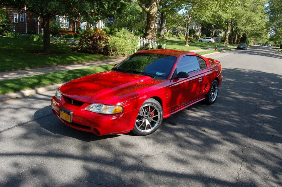 DSC_0011.webp
