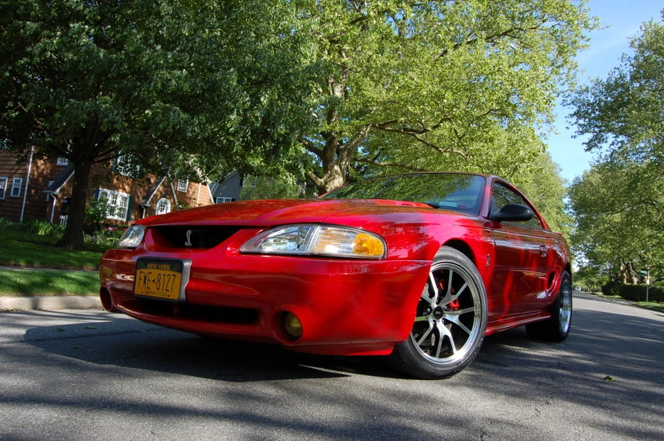 DSC_0012.webp