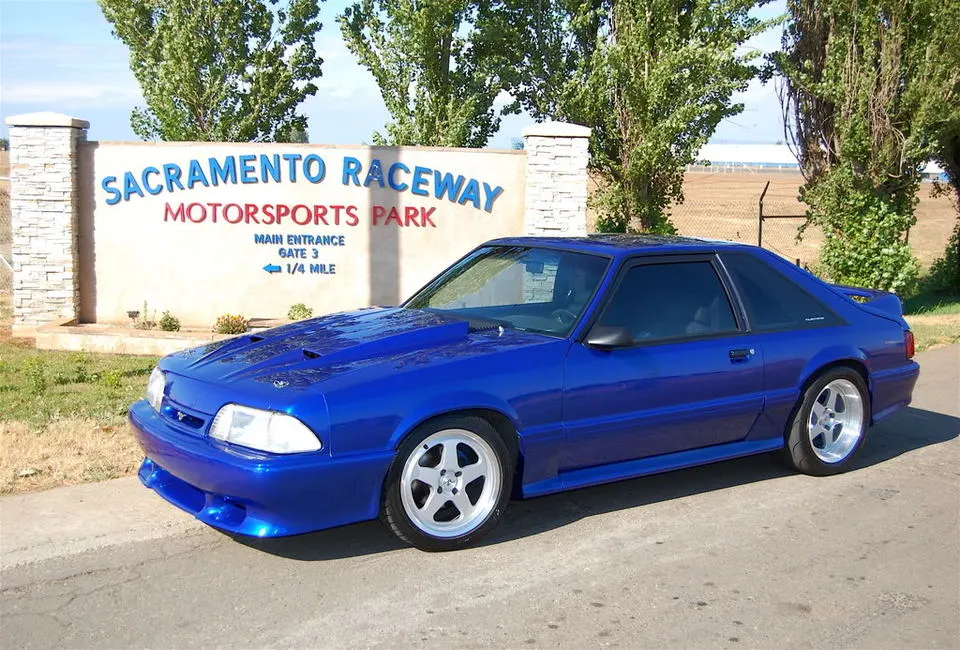 DSC_0012.webp