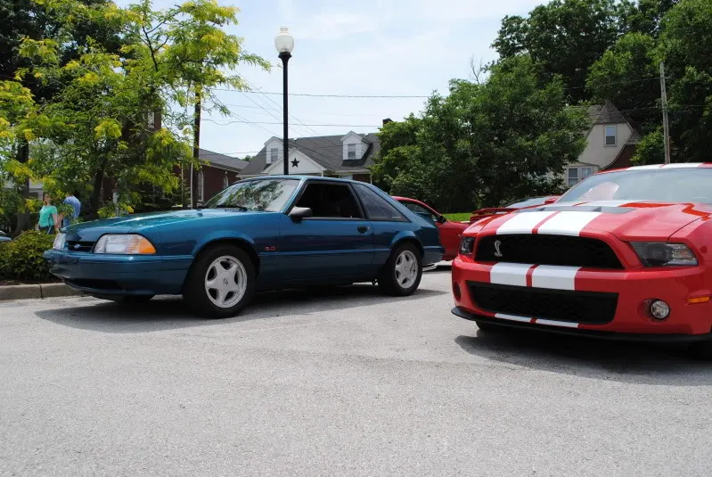 DSC_0013.webp