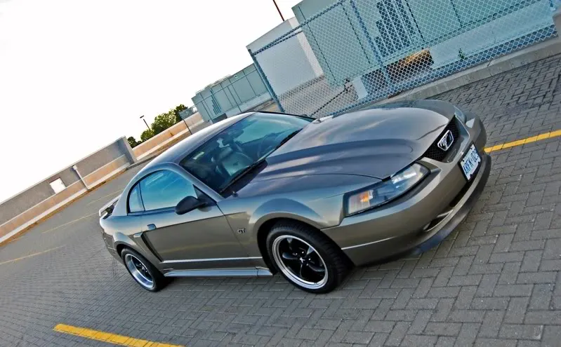 DSC_0013.webp