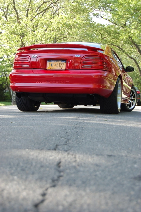 DSC_0016.webp