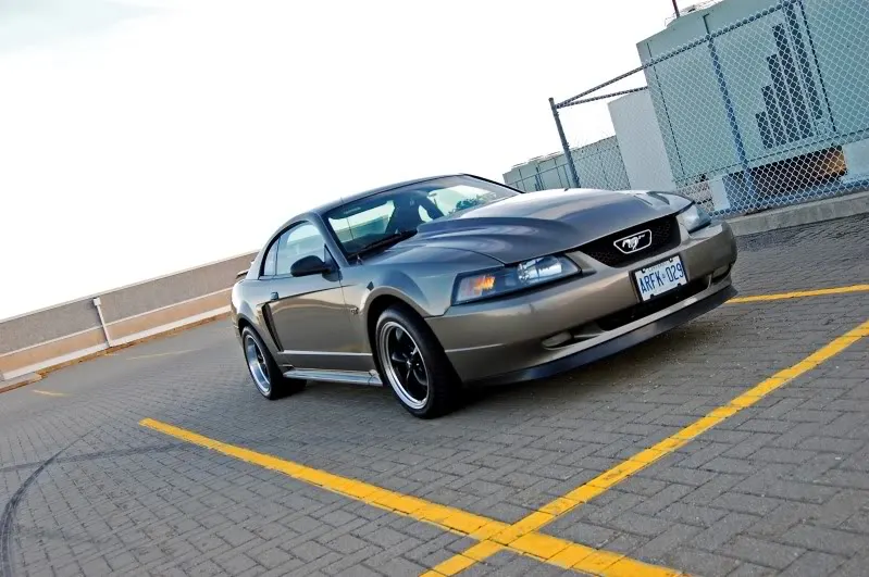 DSC_0016.webp