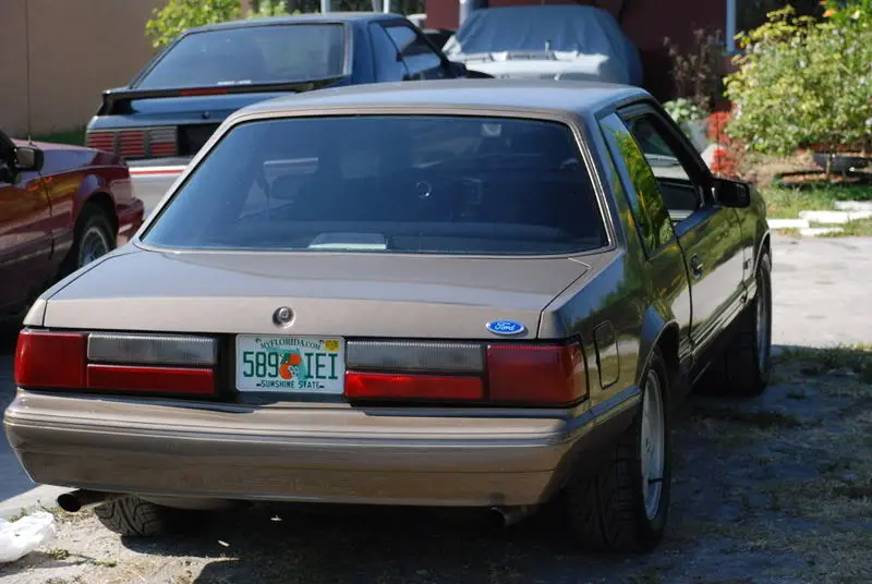 DSC_0016.webp