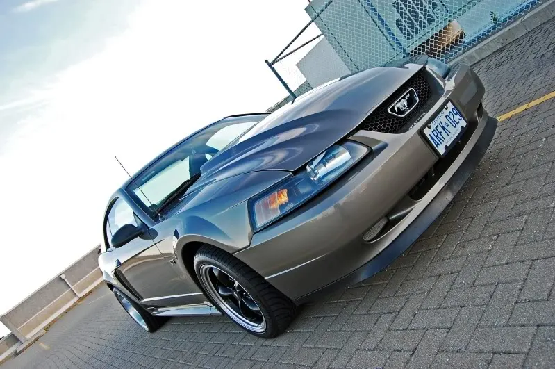 DSC_0019.webp