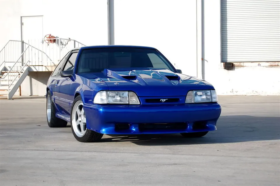 DSC_0019.webp