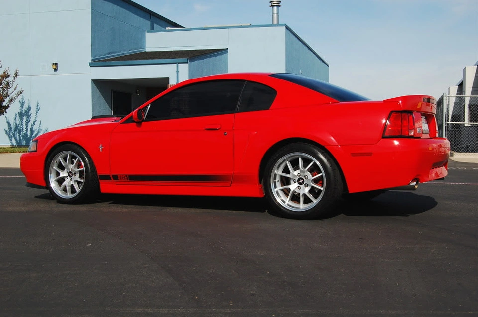DSC_00195.webp