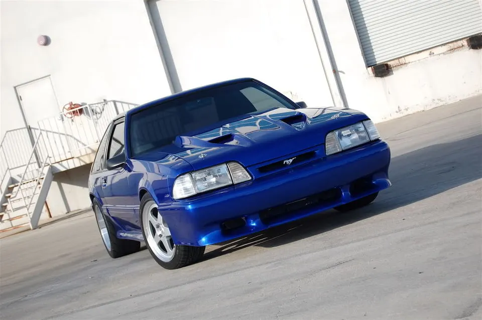 DSC_0020.webp
