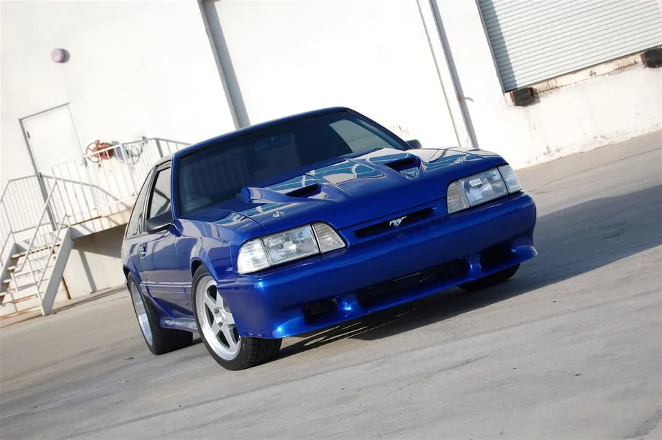 DSC_0020.webp