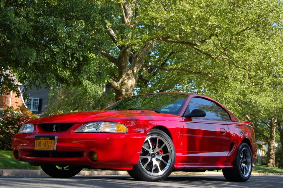 DSC_0021.webp