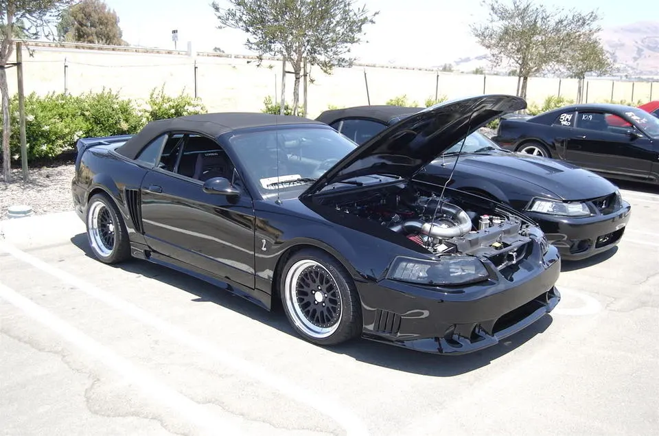 DSC_0021.webp