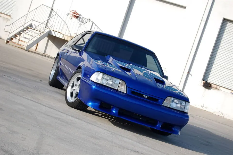 DSC_0021.webp