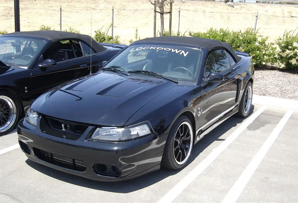 DSC_0023.webp