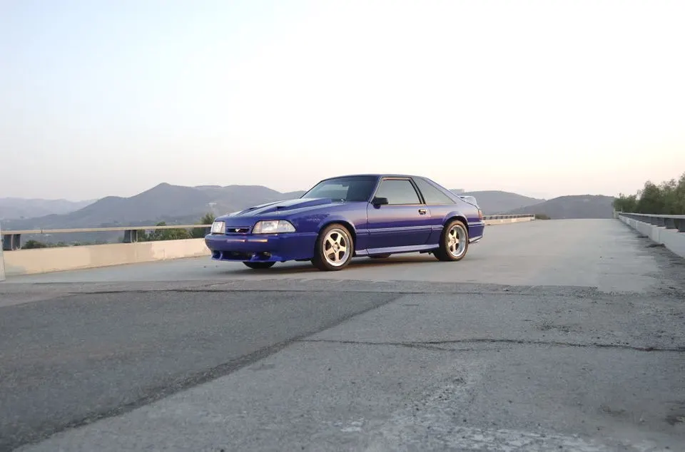 DSC_0024.webp