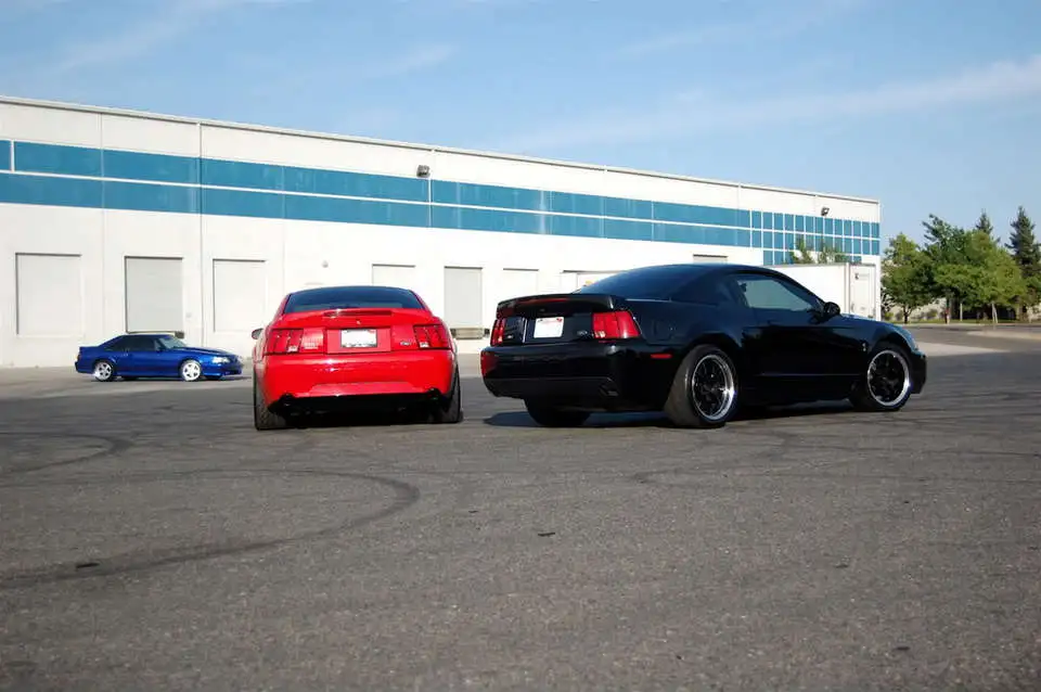 DSC_0024.webp