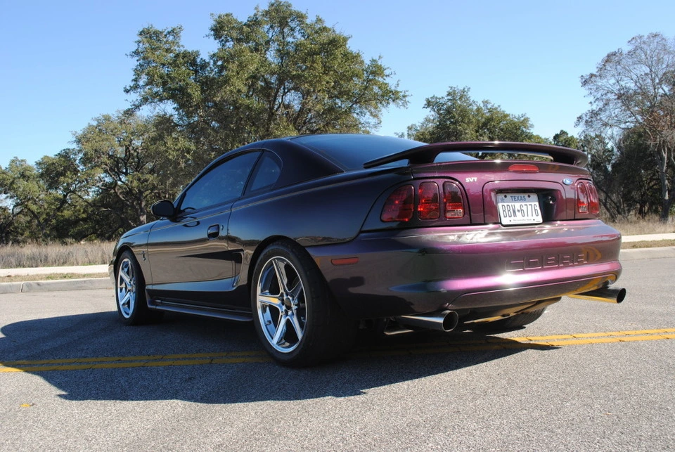 DSC_0024_zps70da1cd0.webp