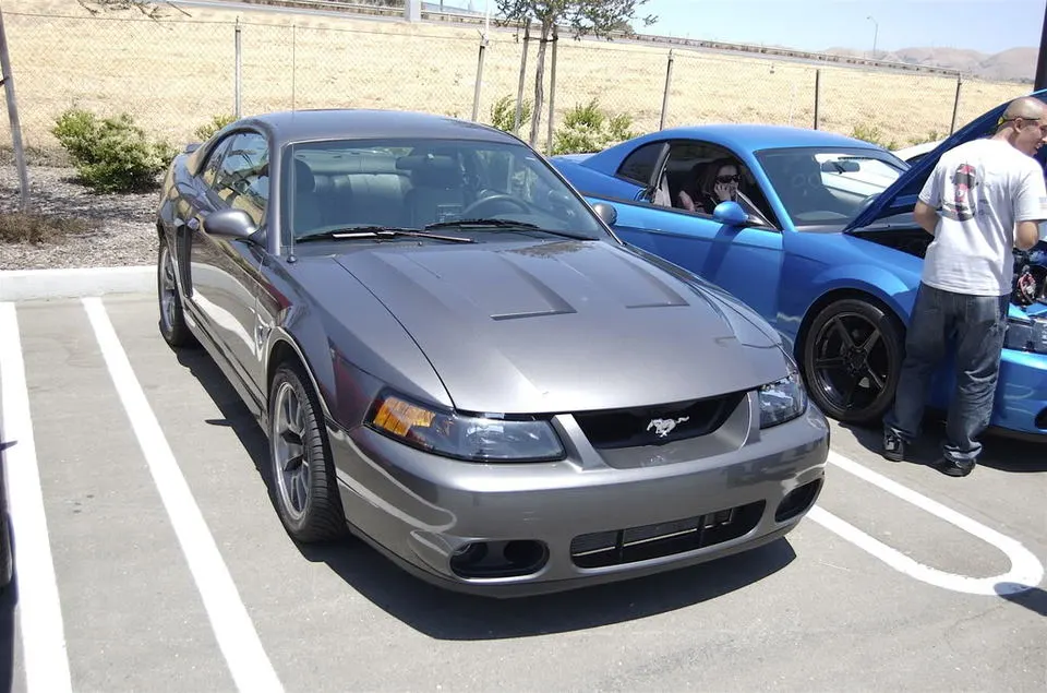 DSC_0026.webp