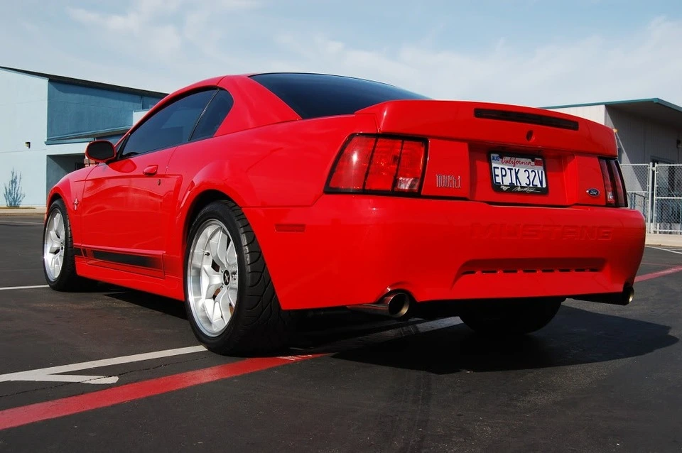 DSC_00286.webp