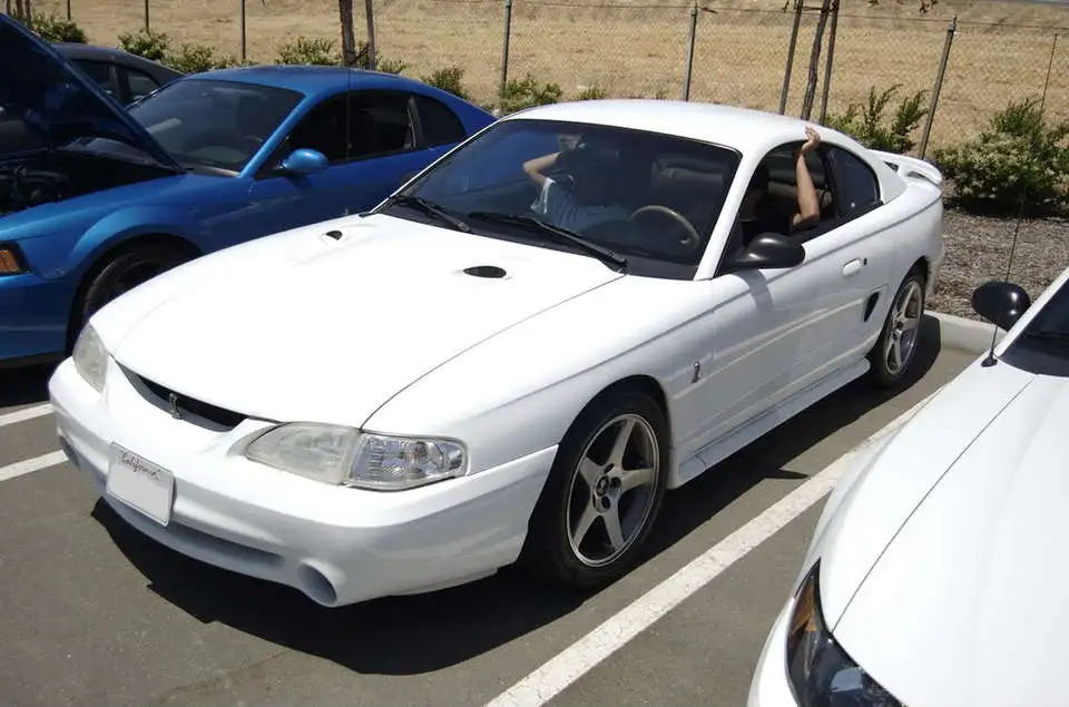DSC_0029.webp