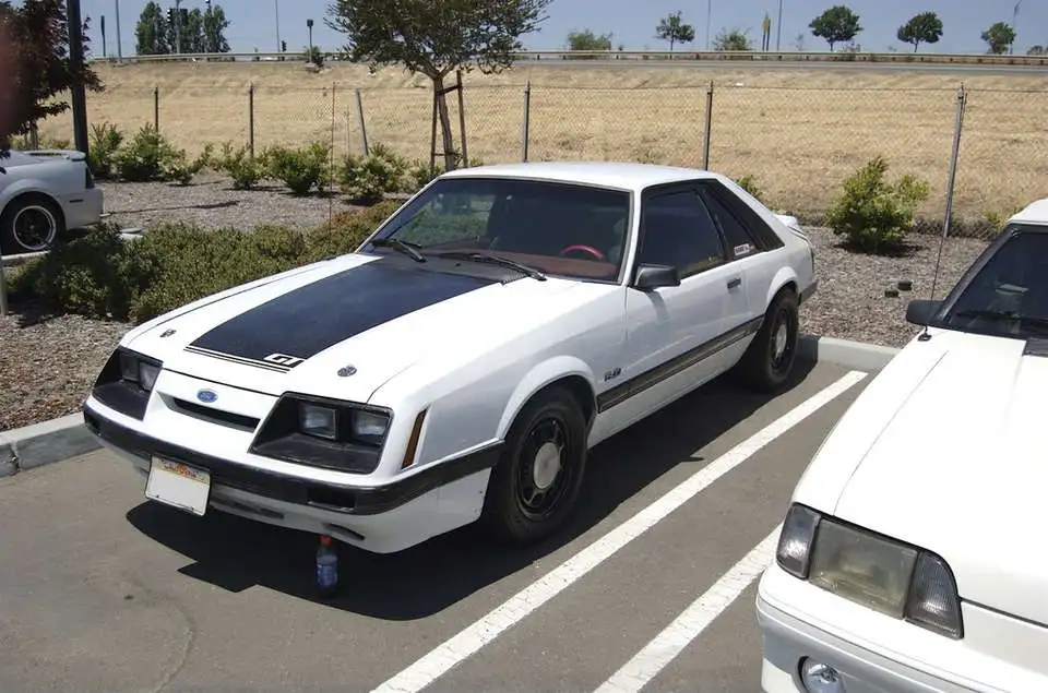 DSC_0032.webp