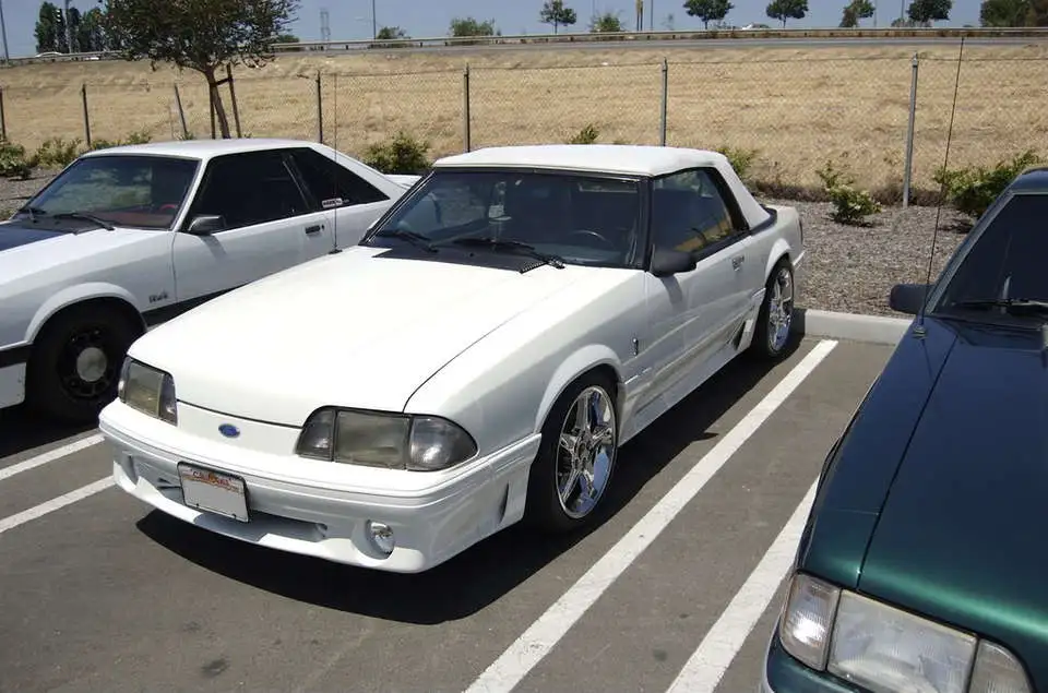 DSC_0033.webp