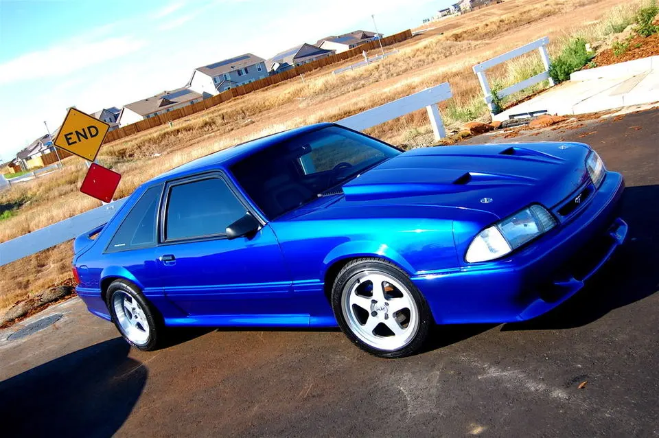DSC_0033.webp