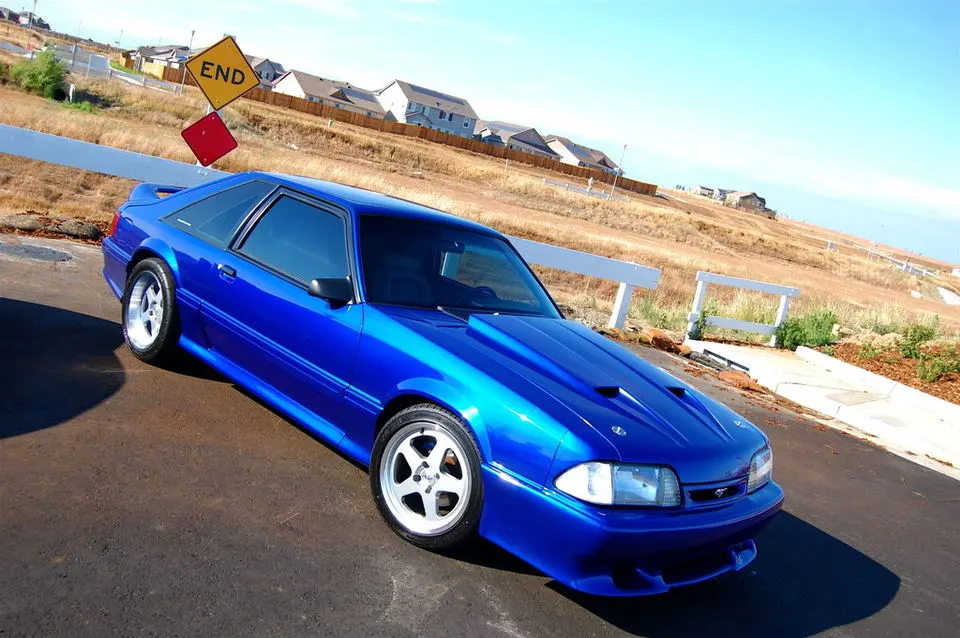 DSC_0034.webp