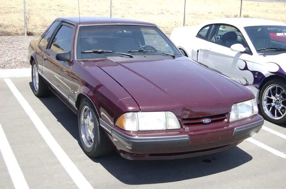 DSC_0038.webp