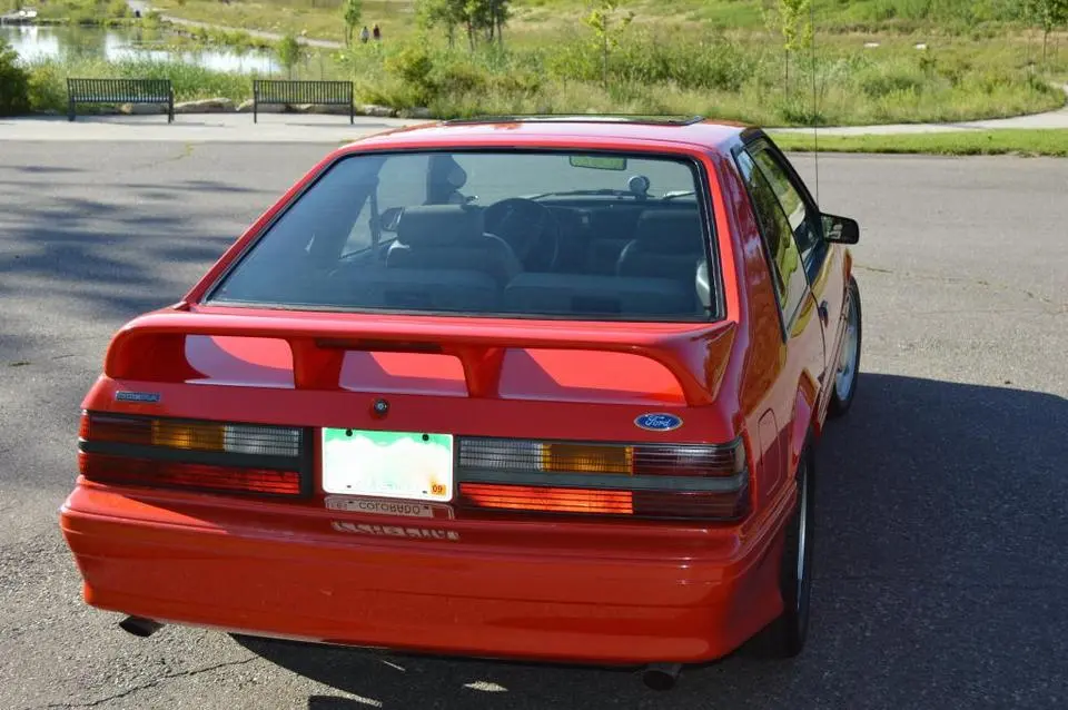 DSC_0041_zps84b167a3.webp