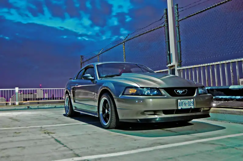 DSC_0049.webp