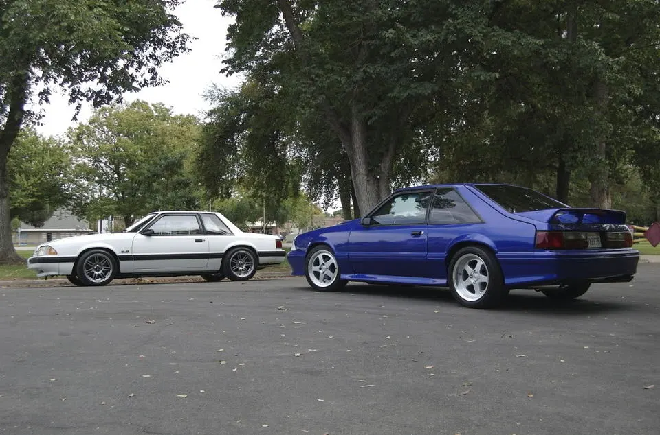 DSC_0062.webp