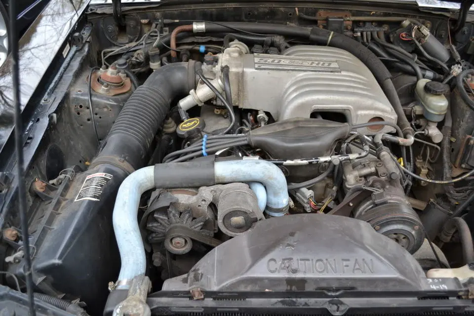 DSC_0078.webp
