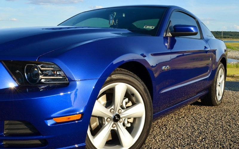 DSC_0079 (800x499).webp
