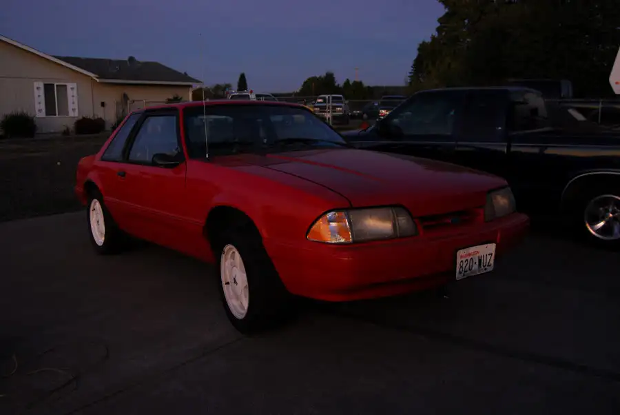 DSC_0081.webp