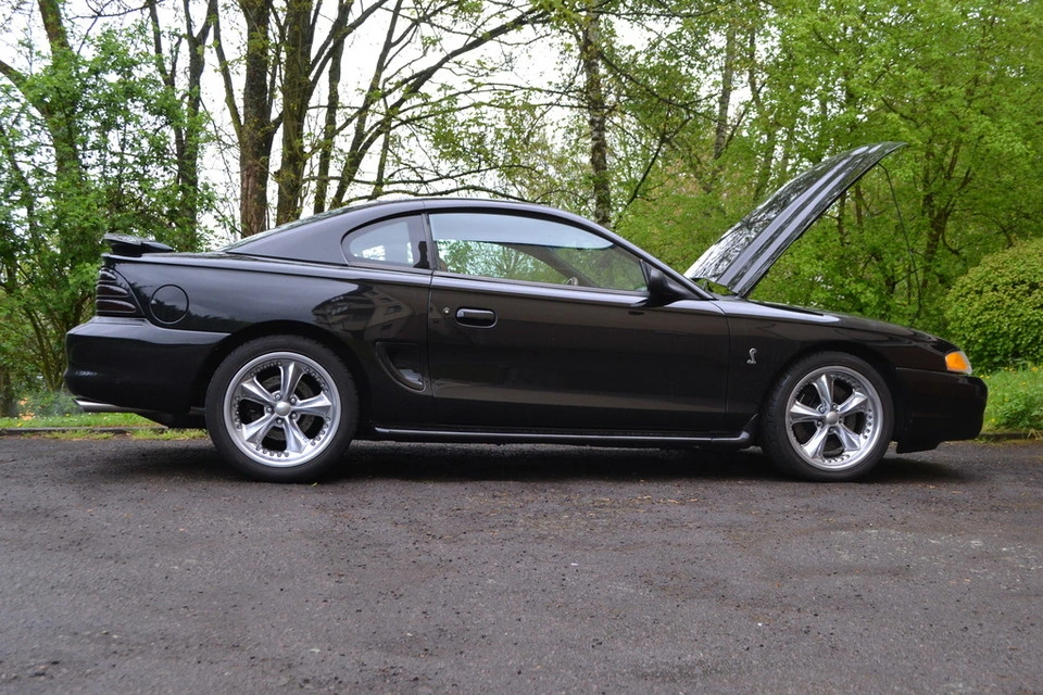 DSC_0081_zps73u2zmjb.webp