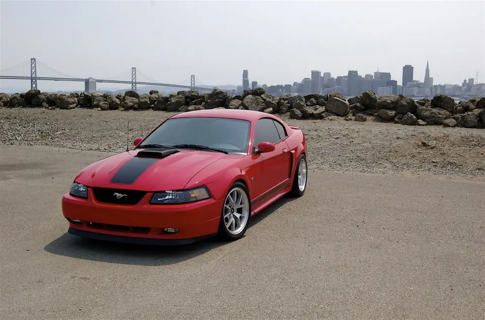 DSC_0085.webp