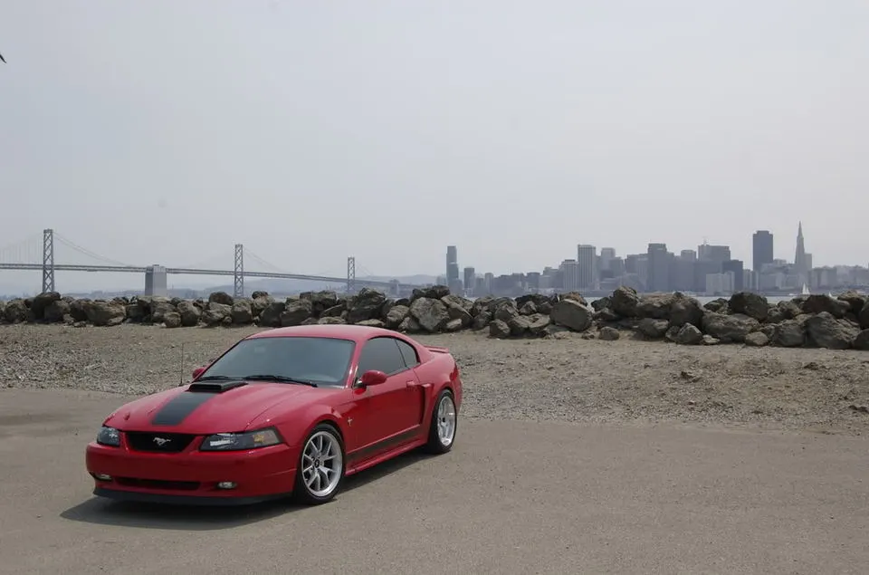 DSC_0088.webp