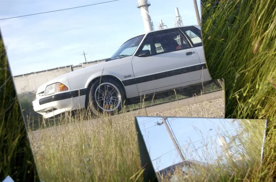 DSC_0092.webp