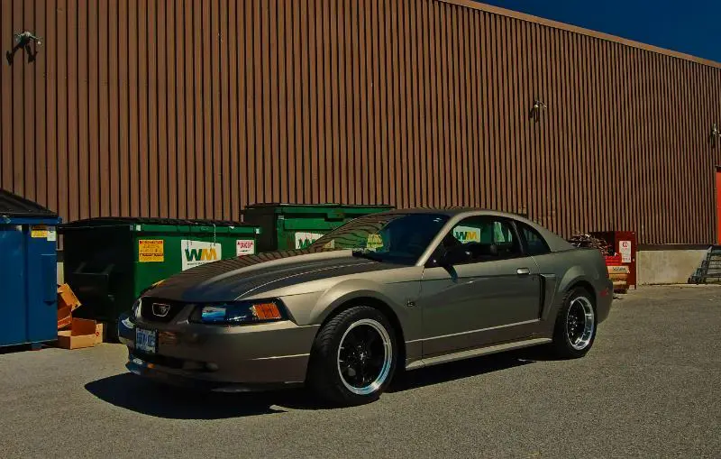 DSC_0100.webp