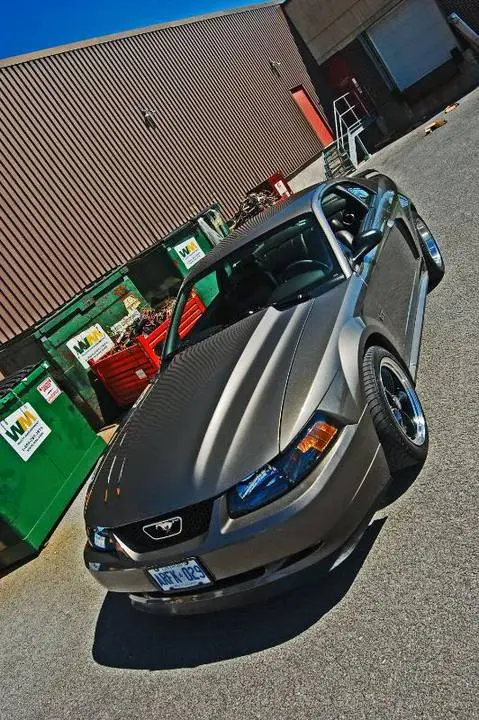 DSC_0101.webp