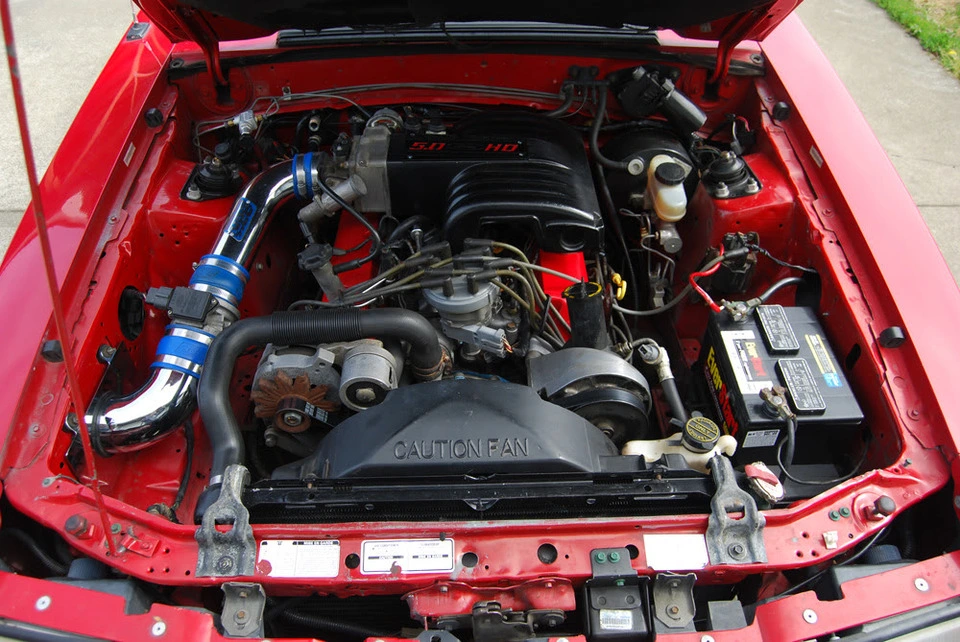 DSC_010854.webp