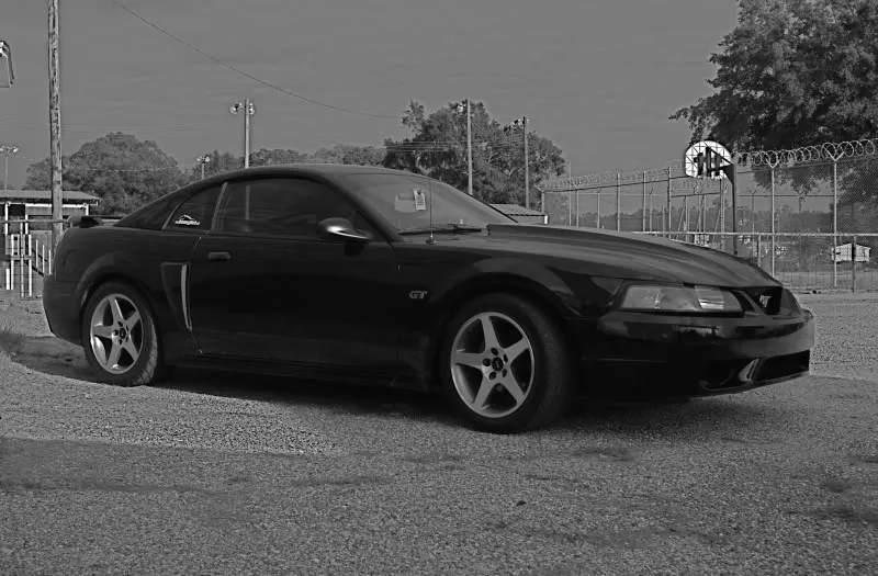 DSC_0119.webp